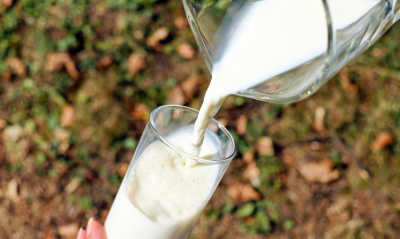 Skondensowane mleko bez zawartości laktozy